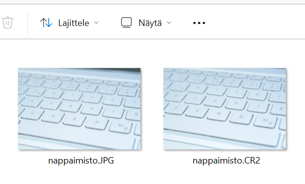 Resurssienhallintanäkymässä näkyvät raw- ja jpg-kuvien esikatselukuvat, jotka näyttävät melko samoilta. Kuva, jossa näkyy sekä raw- että jpg-päätteinen kuva, jotka näyttävät melko samanlaisille.