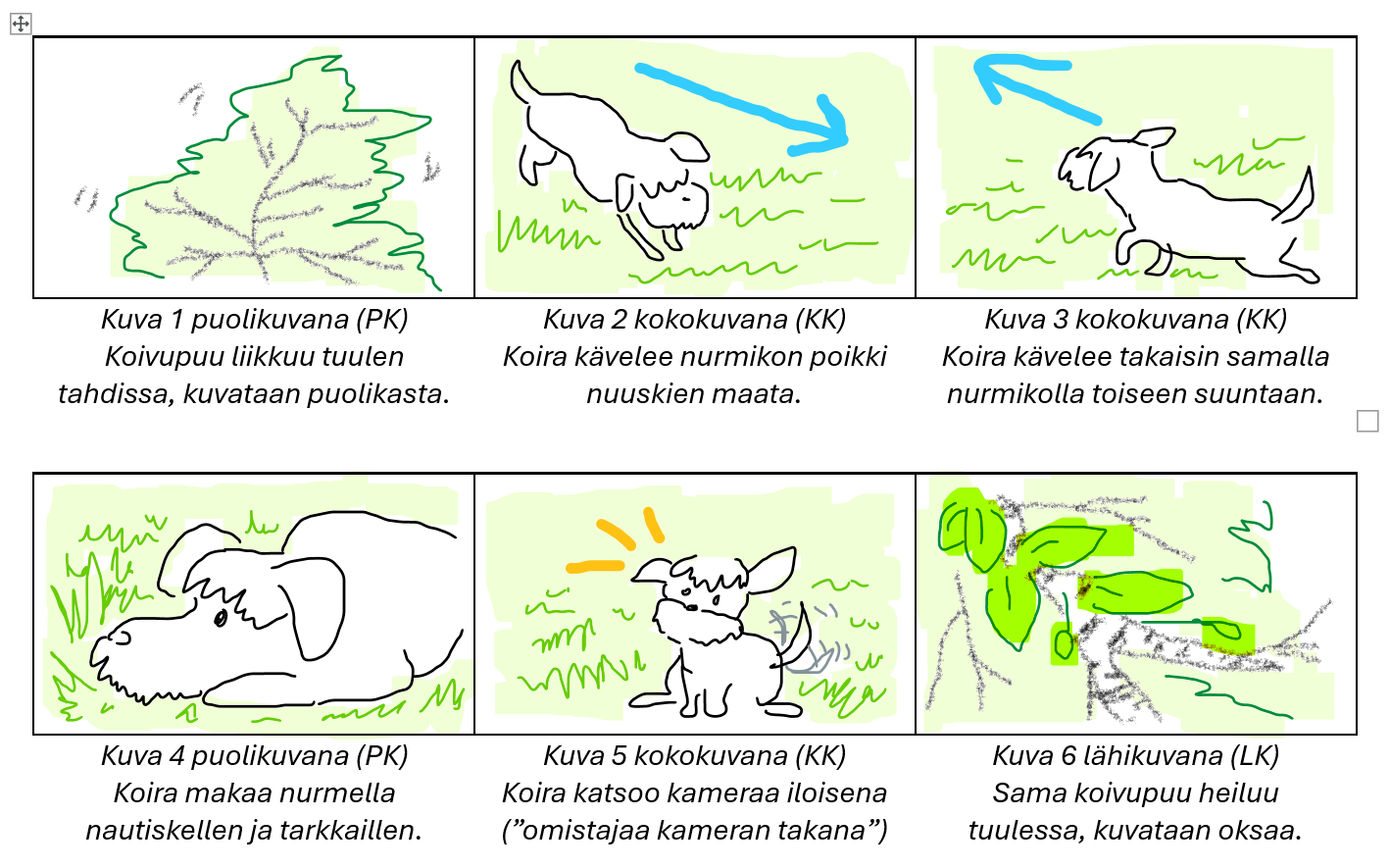 Esimerkkikuva kuvakäsikirjoituksesta.